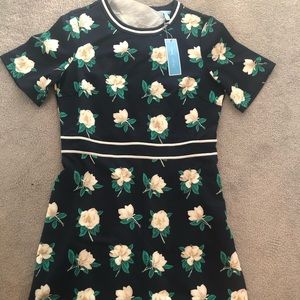 Magnolia Persley Ponte Dress